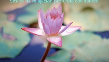 Evento Solidario Yoga Nidra