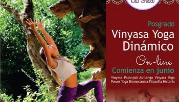 Posgrado en Vinyasa Yoga Dinámico